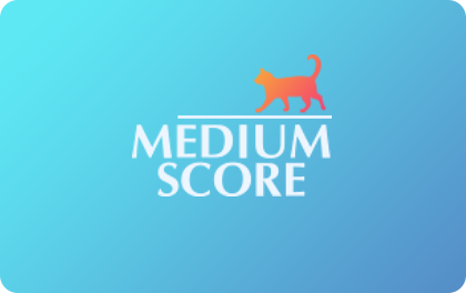 Займ Medium Score